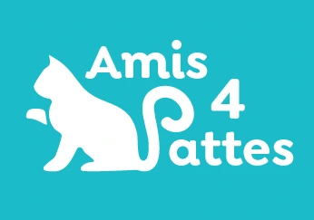Logo Amis 4 Pattes